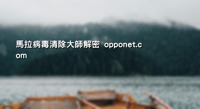 馬拉病毒清除大師解密 opponet.com